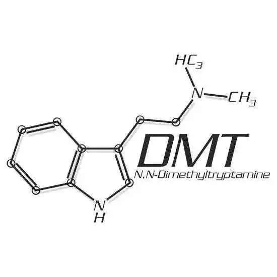 Buy Magic Mushroom Online